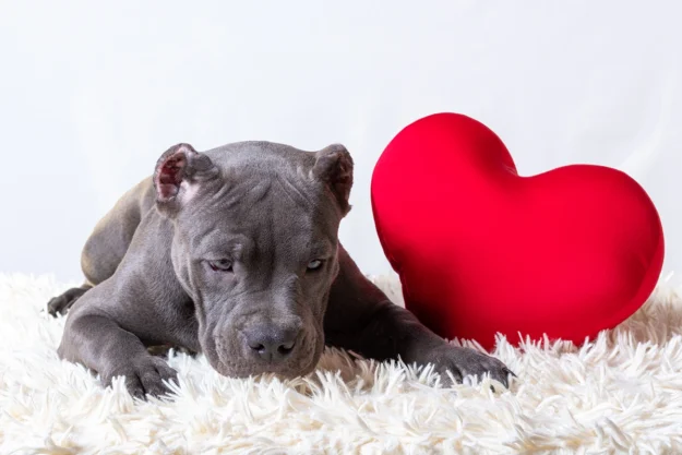 Valentine’s Day when you’re newly single